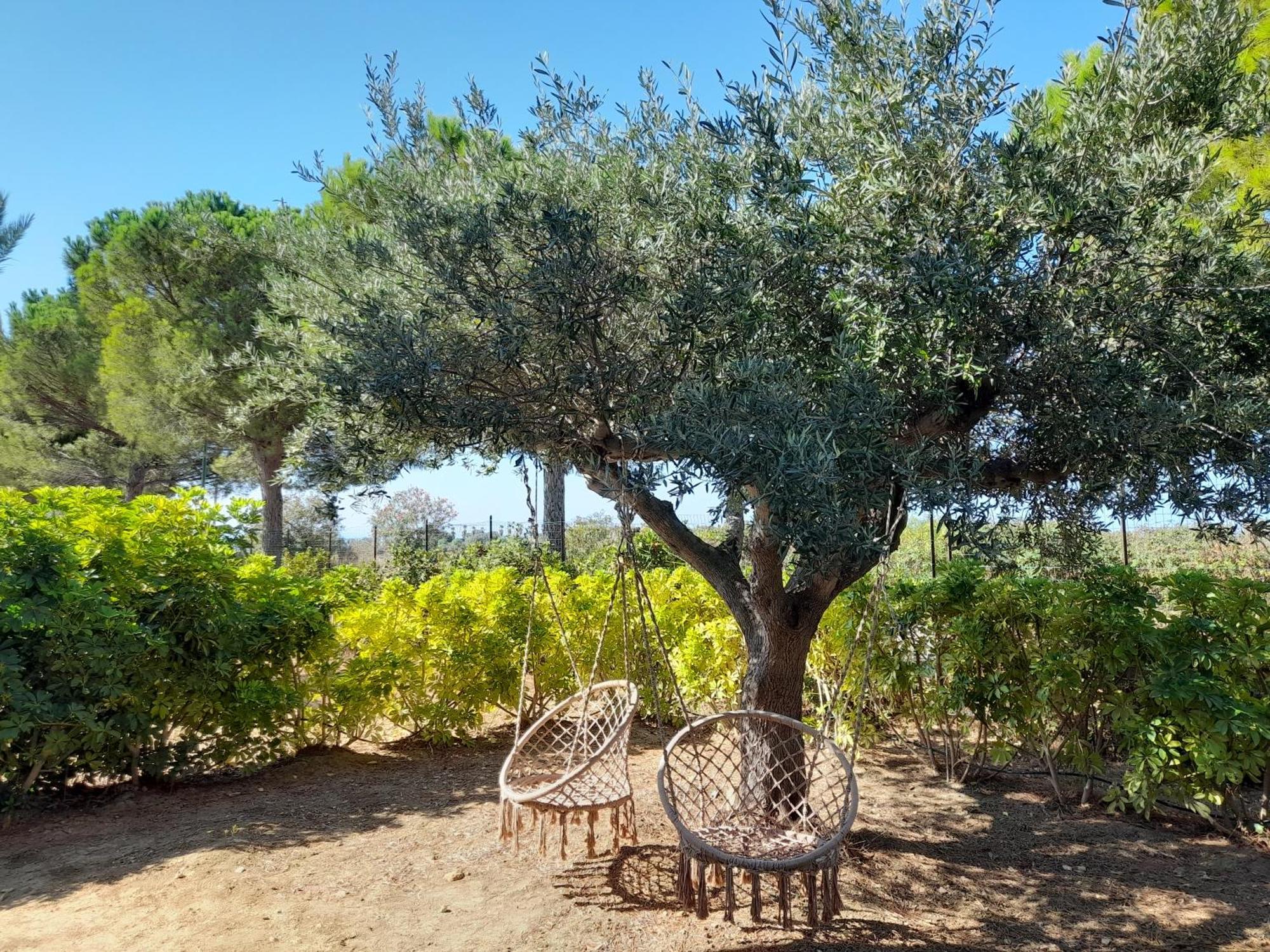 Locanda Degli Scrittori Agrigento Luaran gambar